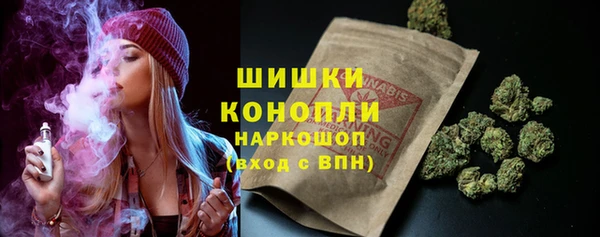 тгк Пересвет