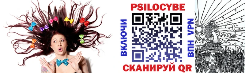 Галлюциногенные грибы Psilocybe  даркнет какой сайт  Красноармейск 